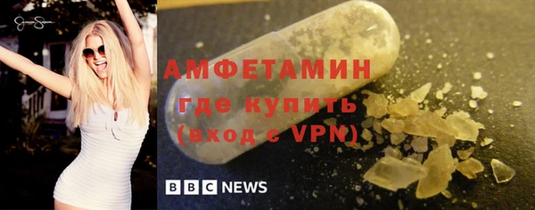 трава Аркадак