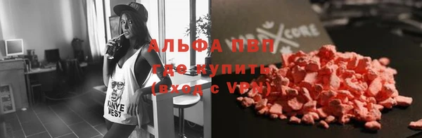 трава Аркадак