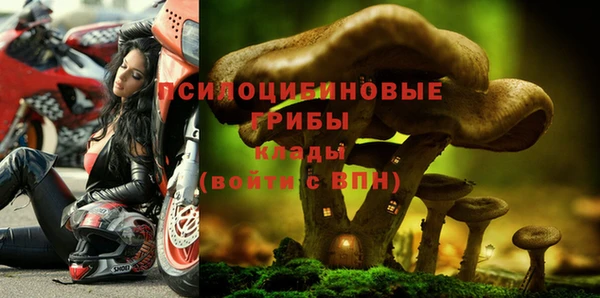 метадон Арсеньев